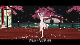 国产音乐节视频大全,激情旋律，青春记忆