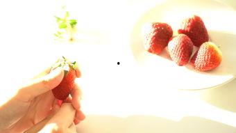 国产草莓视频大全下载,国产草莓视频大全精选下载攻略