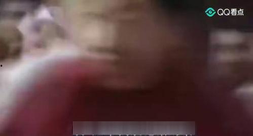 国产免费搞基视频,一场视觉与思想的盛宴