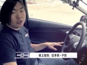 免费国产交脚视频,探索传统艺术魅力