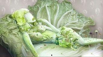 白菜国产贴纸视频,创意无限，展现中国元素魅力