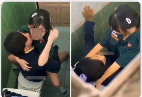 国产女厕所小视频,隐私与安全的双重挑战