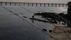 国产海钓杆测评视频大全,全方位解析与推荐