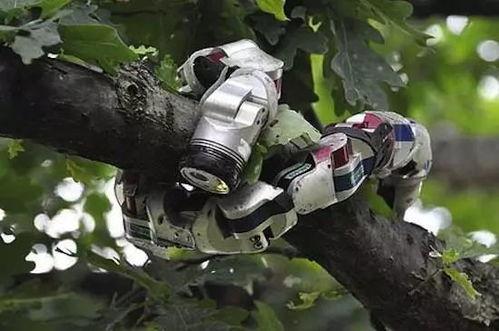 国产机器蛇视频欣赏,智能舞动，探索未来科技魅力