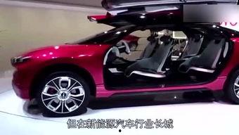 国产小马汽车视频,驾驭未来，驰骋梦想