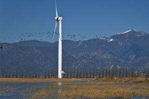 国产线路一视频区,探寻独特风情，领略民族魅力