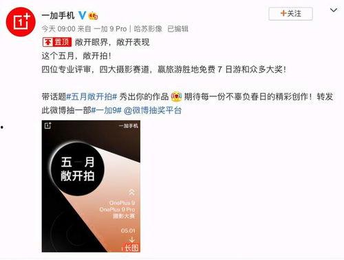 51国产拍在线视频,揭秘热门在线视频平台背后的精彩故事