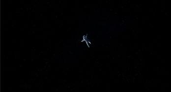 黑吊视频国产精品,探索视觉盛宴的极致魅力