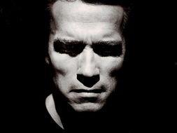 国产大鲶鱼视频在线播放,探寻水下奇观，感受自然魅力