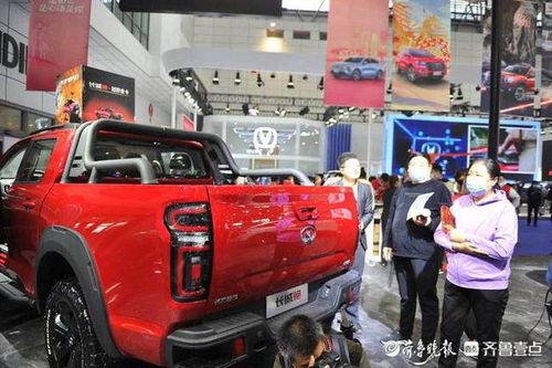 国产车爱车之道视频,探寻民族品牌汽车的魅力与品质